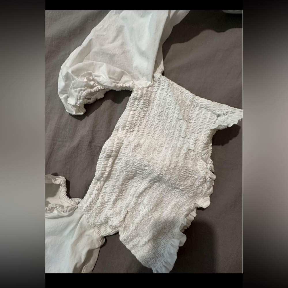 WILFRED CROP TOP - Picture 2 of 2
